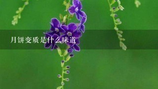 月饼变质是什么味道 月饼变质是什么味道