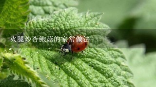 火腿炒杏鲍菇的家常做法 火腿炒杏鲍菇的家常做法
