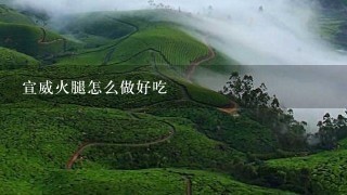 宣威火腿怎么做好吃 宣威火腿怎么做好吃