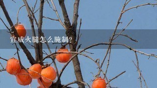 宣威火腿怎么腌制? 宣威火腿怎么腌制?
