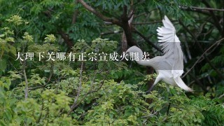 大理下关哪有正宗宣威火腿卖