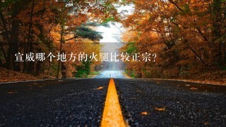 宣威哪个地方的火腿比较正宗? 宣威哪个地方的火腿比较正宗?
