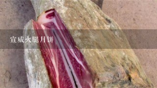 宣威火腿月饼 宣威火腿月饼