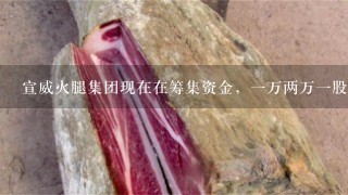 宣威火腿集团现在在筹集资金,一万两万一股,买两万有<br/>1、6万的期权股,然后有2万商城购物,然后公司打 宣威火腿集团现在在筹集资金,一万两万一股,买两万有<br/>1、6万的期权股,然后有2万商城购物,然后公司打