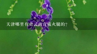天津哪里有卖云南宣威火腿的? 天津哪里有卖云南宣威火腿的?