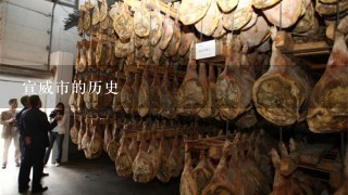 宣威市的历史 宣威市的历史
