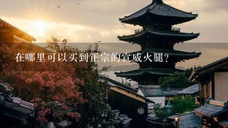 在哪里可以买到正宗的宣威火腿? 在哪里可以买到正宗的宣威火腿?