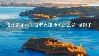 谁知道正宗的菠萝火腿炒饭怎么做 谢谢了 谁知道正宗的菠萝火腿炒饭怎么做 谢谢了