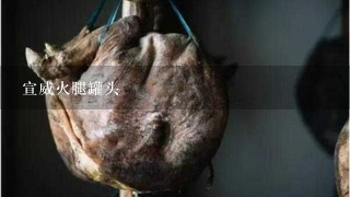宣威火腿罐头