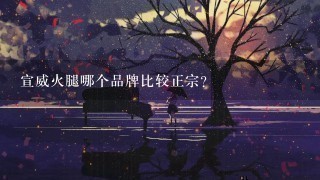 宣威火腿哪个品牌比较正宗? 宣威火腿哪个品牌比较正宗?
