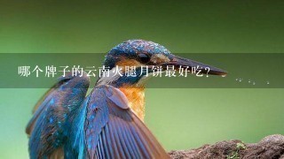 哪个牌子的云南火腿月饼最好吃? 哪个牌子的云南火腿月饼最好吃?