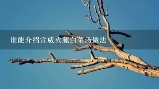 谁能介绍宣威火腿白菜汤做法 谁能介绍宣威火腿白菜汤做法