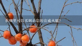 在哪里可以买到正宗的宣威火腿? 在哪里可以买到正宗的宣威火腿?