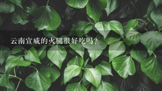 云南宣威的火腿很好吃吗? 云南宣威的火腿很好吃吗?
