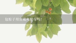 包粽子用宣威火腿行吗? 包粽子用宣威火腿行吗?