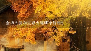 金华火腿和宣威火腿哪个好吃? 金华火腿和宣威火腿哪个好吃?