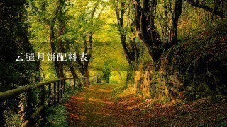 云腿月饼配料表 云腿月饼配料表