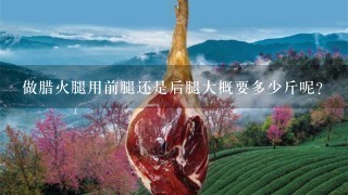 做腊火腿用前腿还是后腿大概要多少斤呢? 做腊火腿用前腿还是后腿大概要多少斤呢?