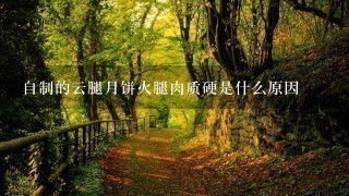自制的云腿月饼火腿肉质硬是什么原因 自制的云腿月饼火腿肉质硬是什么原因
