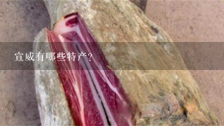 宣威有哪些特产? 宣威有哪些特产?