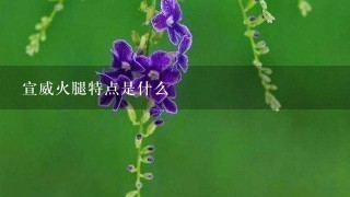 宣威火腿特点是什么 宣威火腿特点是什么