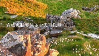 宣威火腿要腌多少天可以晒 宣威火腿要腌多少天可以晒