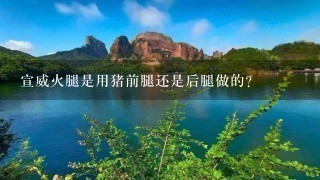 宣威火腿是用猪前腿还是后腿做的? 宣威火腿是用猪前腿还是后腿做的?