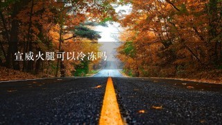 宣威火腿可以冷冻吗 宣威火腿可以冷冻吗