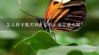 怎么样才能买到正宗的云南宣威火腿? 怎么样才能买到正宗的云南宣威火腿?