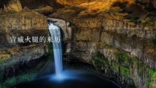 宣威火腿的来历 宣威火腿的来历