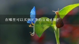 在哪里可以买到正宗的宣威火腿? 在哪里可以买到正宗的宣威火腿?