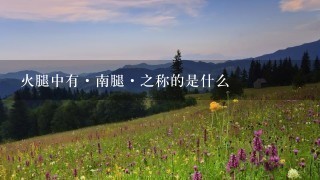 火腿中有·南腿·之称的是什么 火腿中有·南腿·之称的是什么