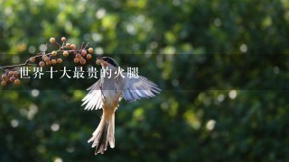 世界十大最贵的火腿 世界十大最贵的火腿