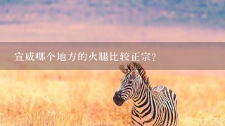 宣威哪个地方的火腿比较正宗? 宣威哪个地方的火腿比较正宗?