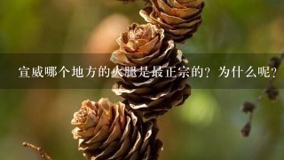 宣威哪个地方的火腿是最正宗的?为什么呢? 宣威哪个地方的火腿是最正宗的?为什么呢?