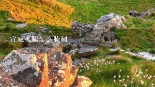 宣威火腿怎么腌制 宣威火腿怎么腌制