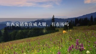 在西安销售宣威火腿,有市场吗 在西安销售宣威火腿,有市场吗