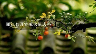 丽江有开宣威火腿店吗 丽江有开宣威火腿店吗