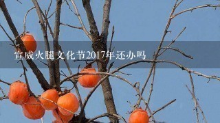 宣威火腿文化节2017年还办吗 宣威火腿文化节2017年还办吗