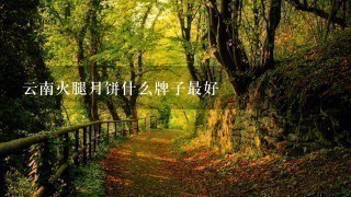 云南火腿月饼什么牌子最好 云南火腿月饼什么牌子最好