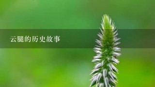 云腿的历史故事 云腿的历史故事