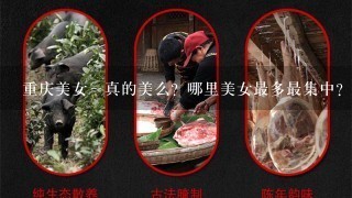 重庆美女~真的美么?哪里美女最多最集中?重庆特色小吃是啥?在重庆哪里可以买到云南宣威的火腿? 重庆美女~真的美么?哪里美女最多最集中?重庆特色小吃是啥?在重庆哪里可以买到云南宣威的火腿?