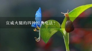 宣威火腿的四种经典吃法? 宣威火腿的四种经典吃法?