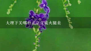 大理下关哪有正宗宣威火腿卖 大理下关哪有正宗宣威火腿卖