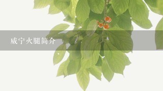 威宁火腿简介 威宁火腿简介