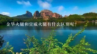 金华火腿和宣威火腿有什么区别呢? 金华火腿和宣威火腿有什么区别呢?
