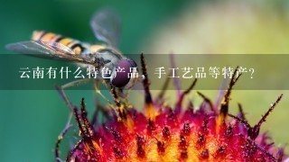 云南有什么特色产品,手工艺品等特产? 云南有什么特色产品,手工艺品等特产?
