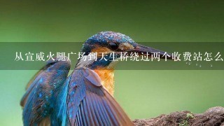 从宣威火腿广场到天生桥绕过两个收费站怎么走 从宣威火腿广场到天生桥绕过两个收费站怎么走