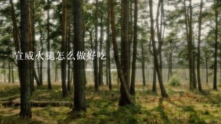宣威火腿怎么做好吃 宣威火腿怎么做好吃