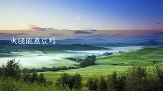 火腿能煮豆吗 火腿能煮豆吗